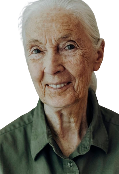 Porträt von Jane Goodall - renommierte Schimpansenforscherin